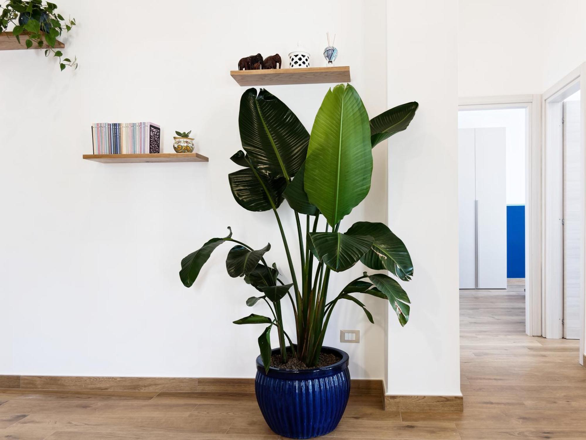 فيكو إيكوينس Susanna Boutique Home المظهر الخارجي الصورة