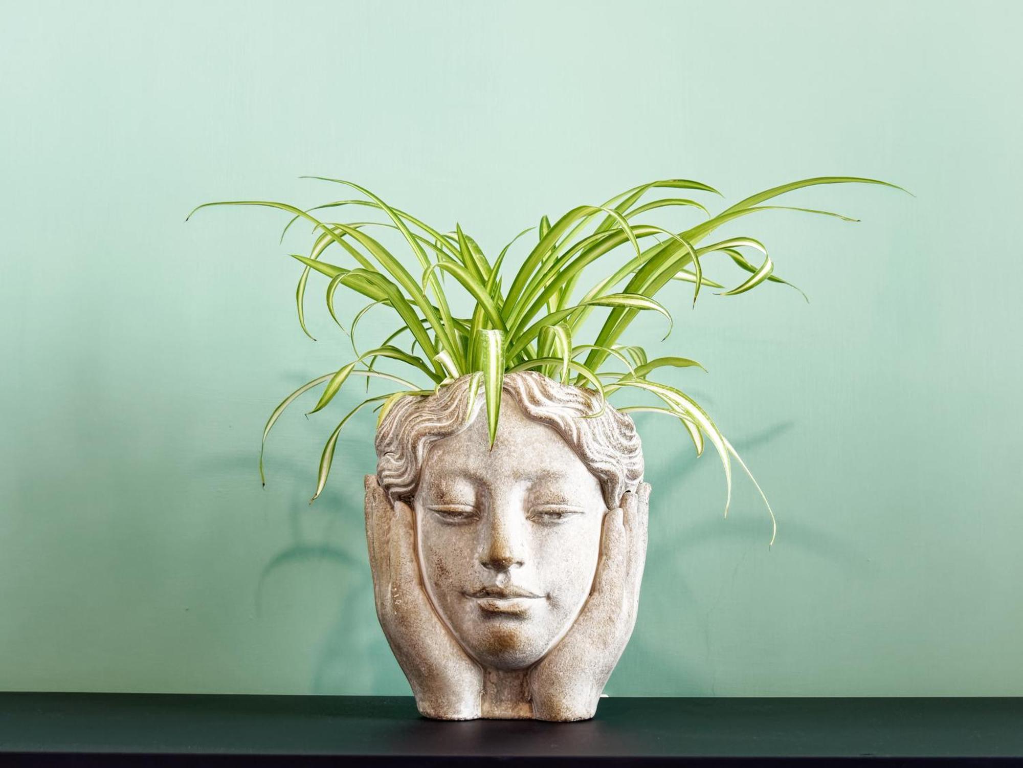 فيكو إيكوينس Susanna Boutique Home المظهر الخارجي الصورة