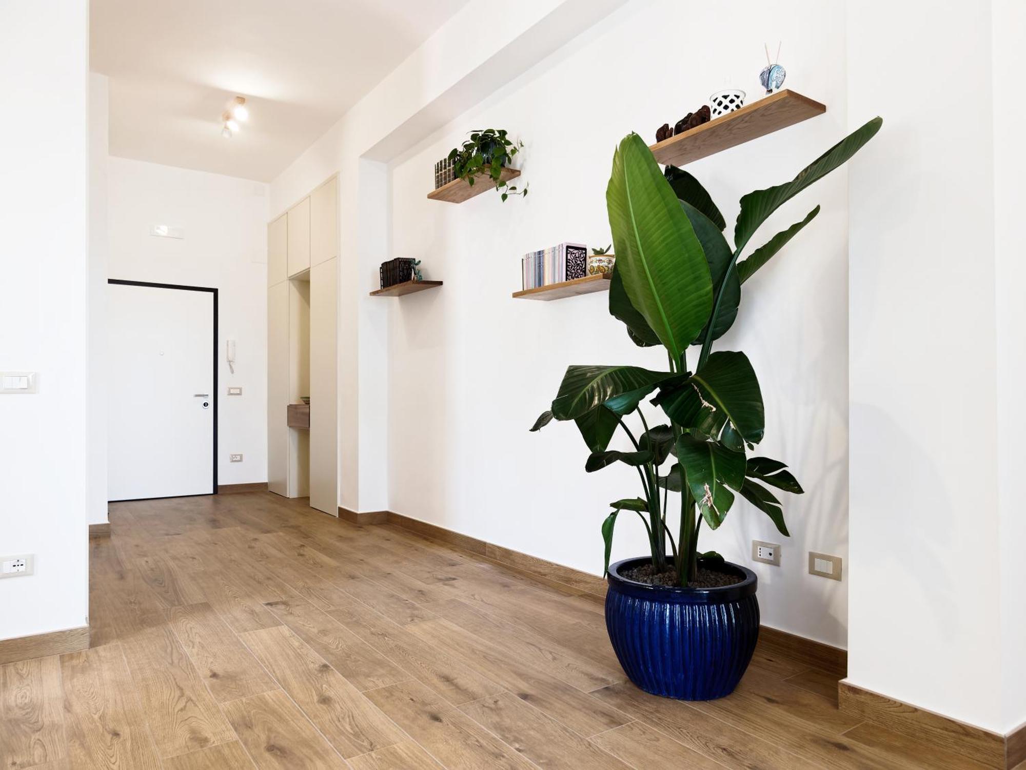 فيكو إيكوينس Susanna Boutique Home المظهر الخارجي الصورة