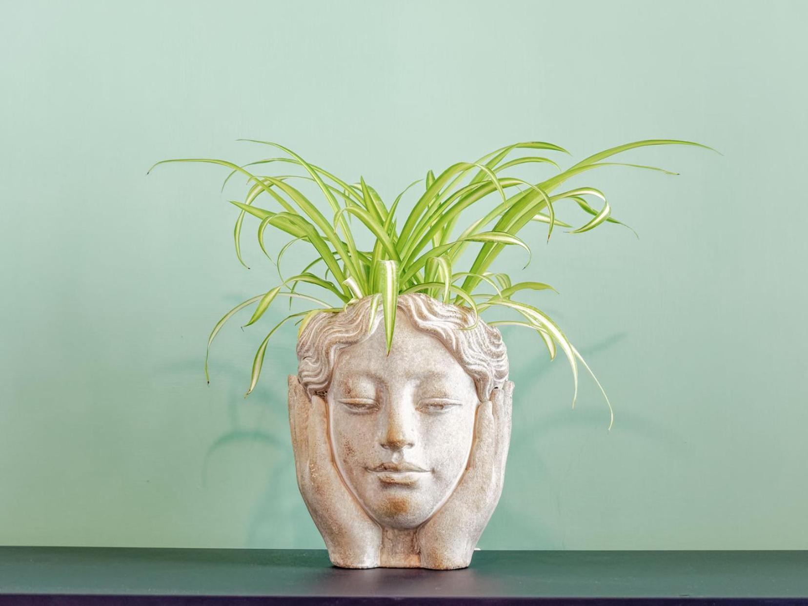 فيكو إيكوينس Susanna Boutique Home المظهر الخارجي الصورة
